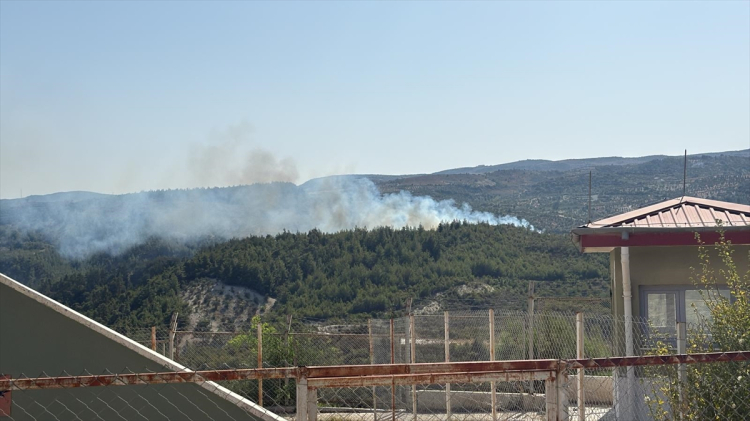 Hatay Yayladağı’nda ormanlık alanda yangın çıktı 3