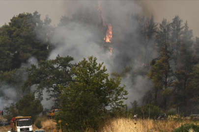 Yunanistan orman yangınlarıyla boğuşuyor! Tahliyeler başladı