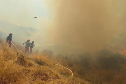 Arnavutluk'ta orman yangını: 1 ölü, 8 yaralı