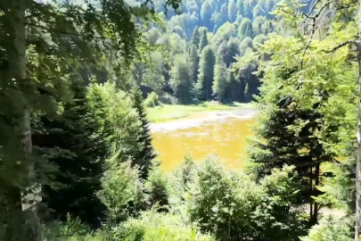 Galatasaray, Düzce’de tesis için yerinde inceleme yapacak