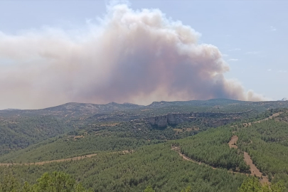 Mersin Silifke’de orman yangını