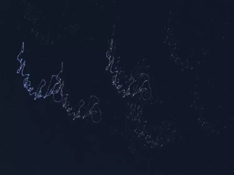 Türkiye'nin dört bir yanında görsel şölen Perseid meteor yağmuru gökyüzünü aydınlattı 5