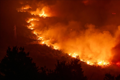 Karadağ ve Sırbistan’da orman yangınlarıyla mücadele sürüyor