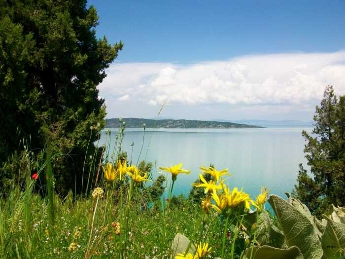 TÜRKİYE'NİN KORUMA ALTINDAKİ EN BÜYÜK TATLI SU GÖLÜ