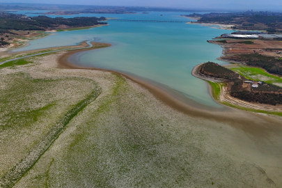 Adana'da kuraklık alarmı!