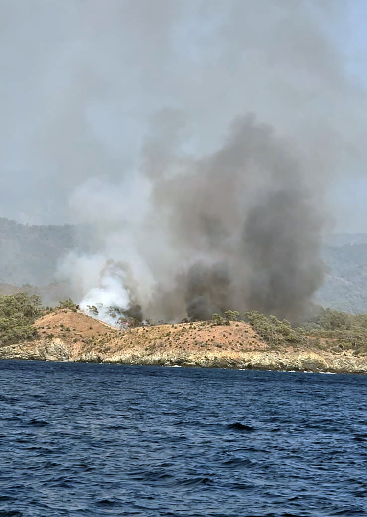 Fethiye’de orman yangınına havadan ve karadan müdahale 2