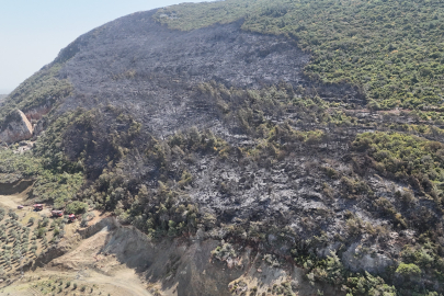 Hatay Yayladağı’ndaki orman yangını 14 saatte kontrol altına alındı