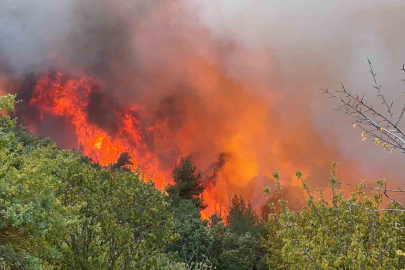 İznik’te orman yangınına havadan ve karadan müdahale
