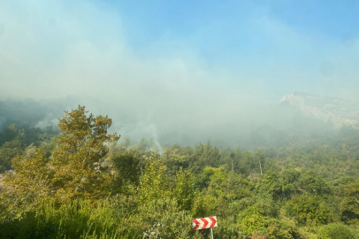 Mersin Anamur’da orman yangını sürüyor: Havadan ve karadan müdahale devam ediyor