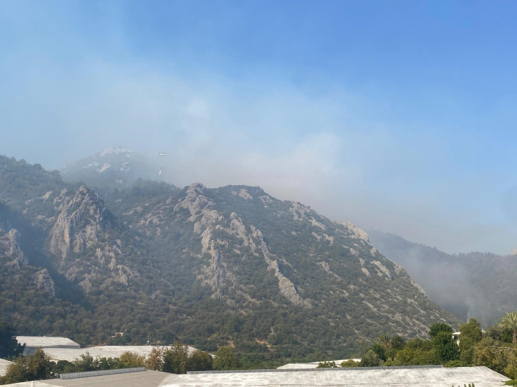 Mersin Anamur’da orman yangını sürüyor Havadan ve karadan müdahale devam ediyor 3