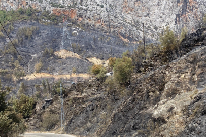 Mersin Anamur’daki orman yangını büyük ölçüde kontrol altına alındı