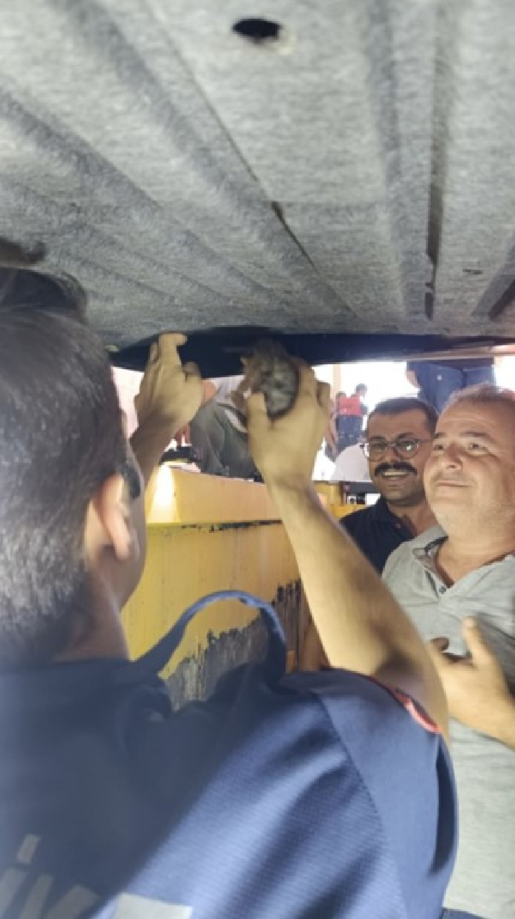 Osmaniye’de elektrikli otomobilin bagajında mahsur kalan 5 kedi yavrusu kurtarıldı 3