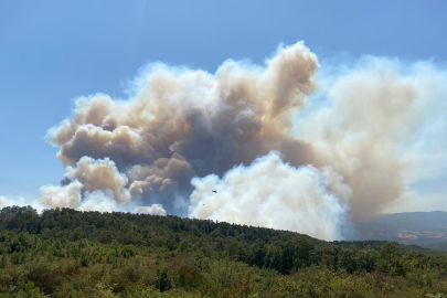 Karamürsel’de orman yangını: Havadan ve karadan müdahale sürüyor