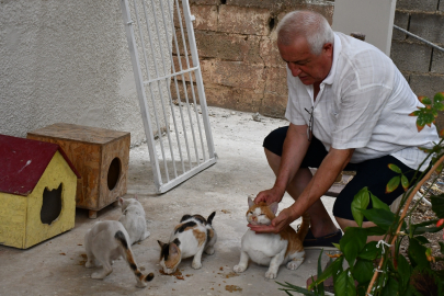 Adana'lı hayvansever evinin bahçesine koyduğu kulübelerde 8 kediye bakıyor