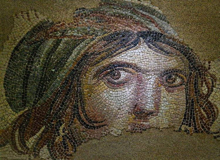 Zeugma Mozaik Müzesi, Şehitkamil