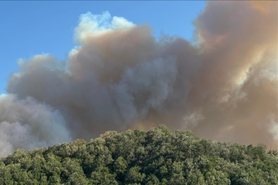 Kocaeli, Afyon ve Diyarbakır’daki orman yangınlarında müdahale sürüyor