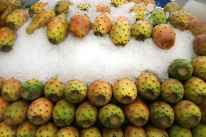 Buz gibi dikenli incir Adana sokaklarında yoğun ilgi görüyor