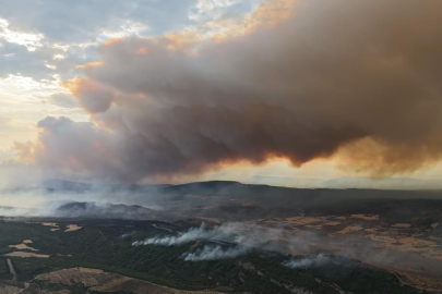 Çanakkale’de orman yangını: 7 köy tahliye edildi, Tarihi Alan’ın kuzey hattı kapatıldı