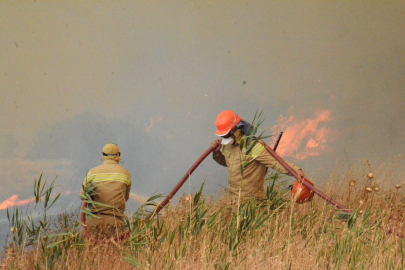 Orman Genel Müdürü Karacabey: “Yangınların yüzde 57’si orman dışı alanlarda başladı”