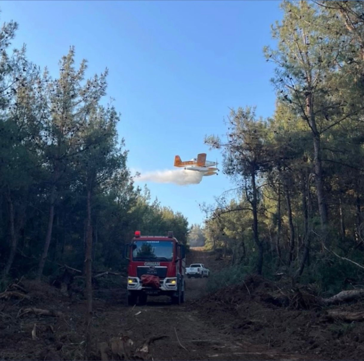 Orman Genel Müdürü Karacabey “Yangınların yüzde 57’si orman dışı alanlarda başladı” 2