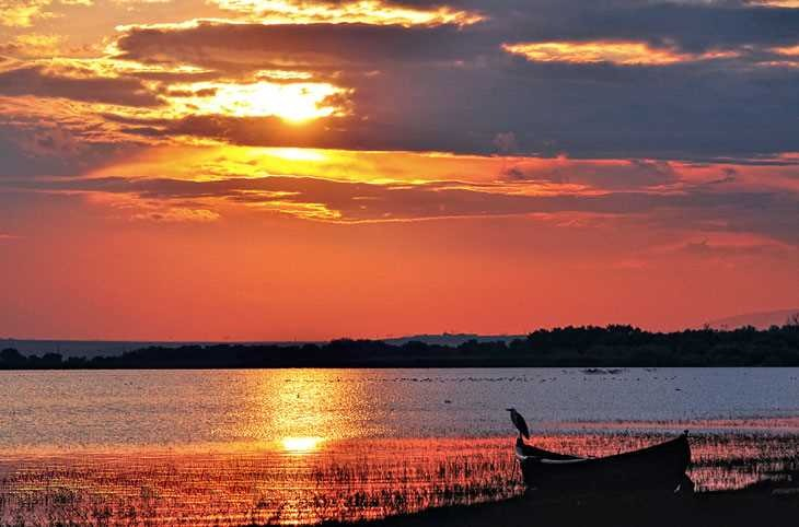 ULUSLARARASI TESCİLLİ BİR KORUMA ALANI