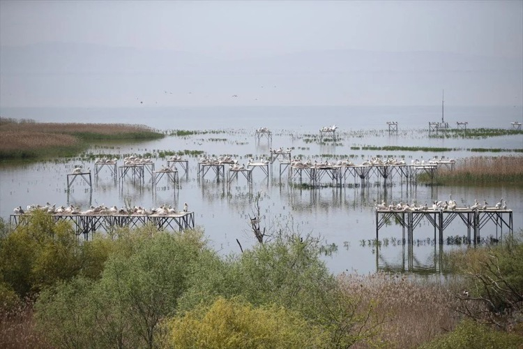 KUŞ CENNETİ MİLLİ PARKI'NA ULAŞIM NASIL SAĞLANIR?