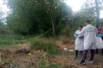 Düzce’de tarlada insan kafatası ve kemikleri bulundu