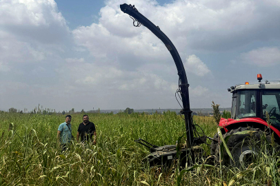 Hayvancılıkta saha çalışmalarıyla kaba yem ihtiyacına çözüm