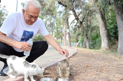 MHP Adana İl Başkanı Kanlı’dan sokak hayvanlarına “bir kap su, bir kap mama, bir kap yem” çağrısı