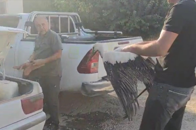 Balçığa saplanan leylek, duyarlı balıkçılar sayesinde kurtuldu