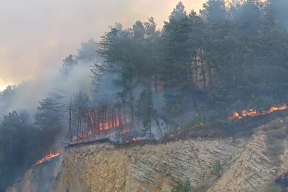 Bolu’da orman yangını: Havadan ve karadan müdahale sürüyor