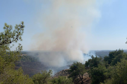 Adana’da orman yangını 