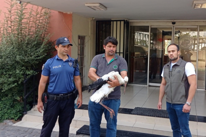 Adana’da yaralı bulunan leyleğin tedavisine başlandı