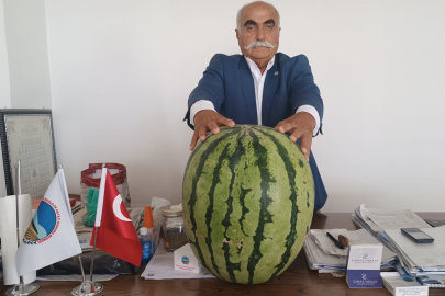 Batman’da 45 kiloluk dev karpuz görenleri şaşırttı