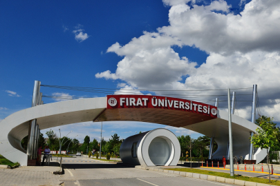 Fırat Üniversitesi’ne öğretim üyesi alımı yapılacak! Başvuru şartları ve tarihleri Resmi Gazete’de