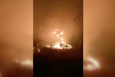 Muğla'da çıkan orman yangınına müdahale ediliyor