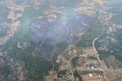 Muğla'daki orman yangını kontrol altına alındı     
