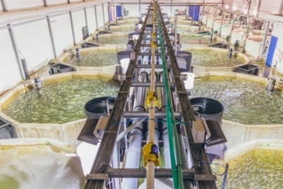 Türkiye’nin ve Avrupa’nın ilk Tarıma Dayalı Su Ürünleri OSB’si Karataş’ta kuruluyor