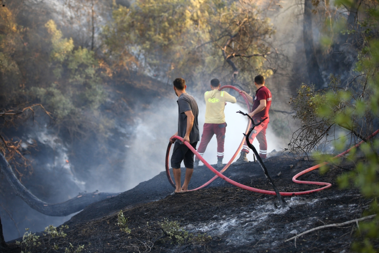 adana orman yangını