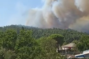 Çanakkale Gelibolu'da orman yangını: Havadan ve karadan müdahale sürüyor