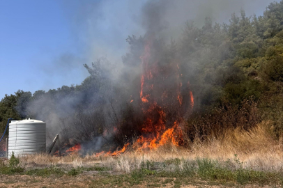 İzmir’in Menderes ilçesinde çıkan yangın ormana sıçradı