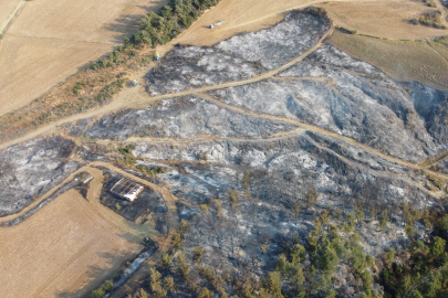 Gelibolu’daki orman yangını tamamen kontrol altına alındı