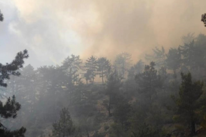 Kocaeli Derince’de orman yangını: Alevler evleri tehdit ediyor