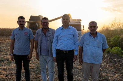 Adana İl Tarım ve Orman Müdürü Beyazıt: Adana’da 1 milyon 135 bin ton mısır bekleniyor