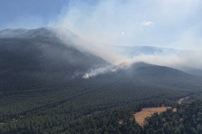 Denizli Honaz Dağı’nda yanan orman sahası havadan görüntülendi