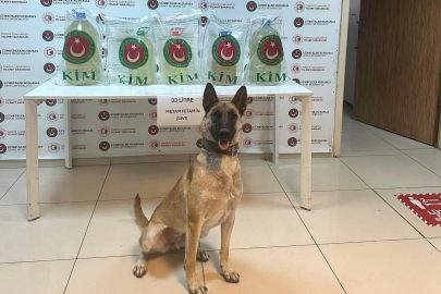 Hakkari’de tırın yakıt deposunda 33 litre sıvı metamfetamin ele geçirildi