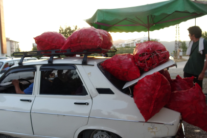 Kozan’da çiftçilerin biber mesaisi başladı