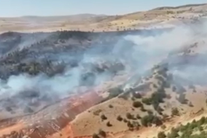 Yozgat’ta anız yangını 70 dönümlük araziyi küle çevirdi