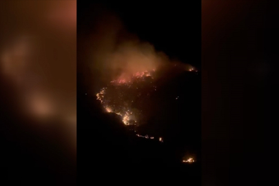 Balıkesir'de Marmara Adası'nda çıkan orman yangını kontrol altına alındı