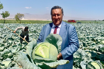 Ömer Fethi Gürer, Niğde lahanasının kalitesini ve üretim sürecini yerinde inceledi